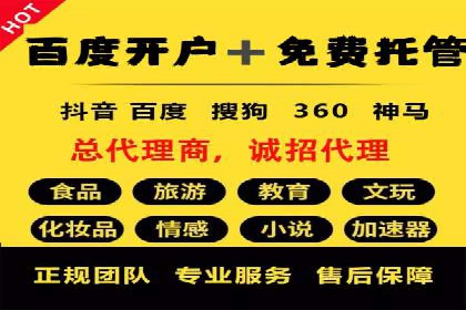 SEM服务助力电商行业案例解读